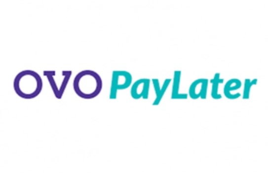 Keuntungan Menggunakan Layanan Pinjaman OVO PayLater